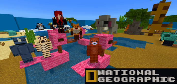 National Geographic Hide & Seek