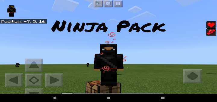 Ninja Pack