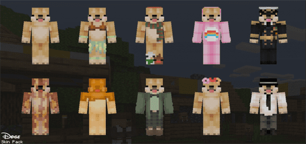 Doge Skin Pack