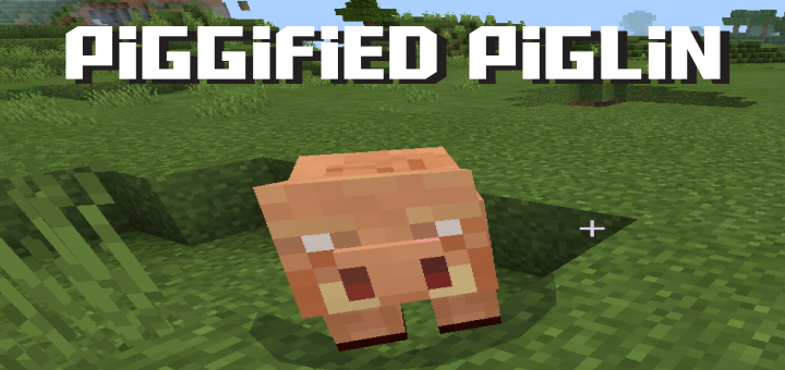 Piggified Piglin!