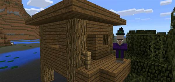 77301621: Witch Hut & Village at Spawn