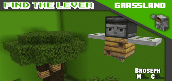 Find The Lever – Grassland