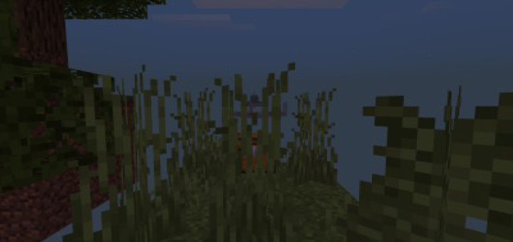 This Is Adventure Skyblock