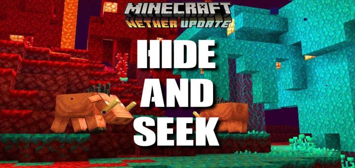 VoidMC: Hide & Seek | NetherUpdate
