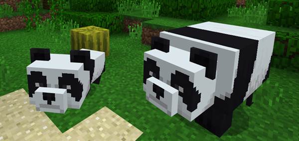 Panda Bear Add-on (Minecon 2018 Concept!)