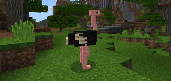 Ostrich Add-on (Biome Chooser Concept)