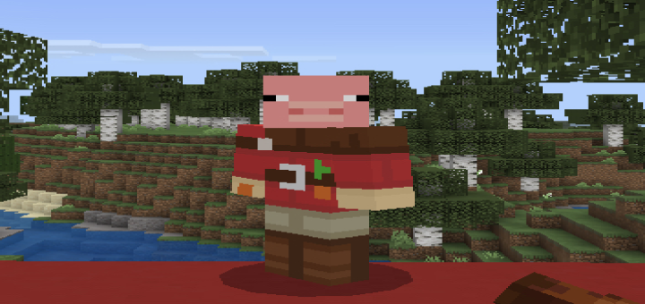 Minecraft: Builders and Biomes Farmer’s Market Expansion Fan Recreation Skin Pack