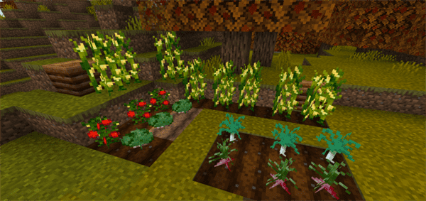 Floral Crops Resource Pack