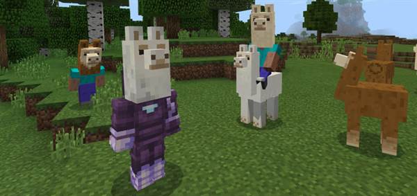 Llama Heads Pack