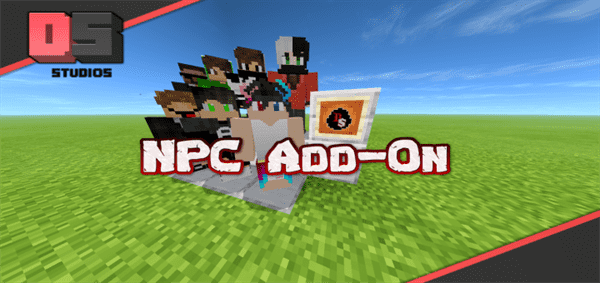 DS : NPC Addon
