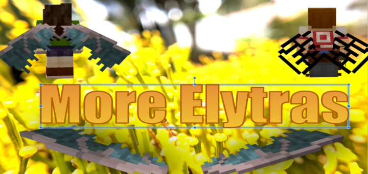More Elytras V2