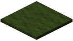 Carpet (Green)