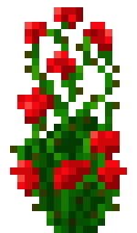 Rose Bush