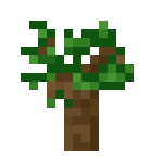 Sapling (Dark Oak)