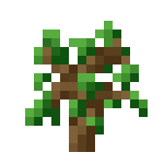 Sapling (Oak)
